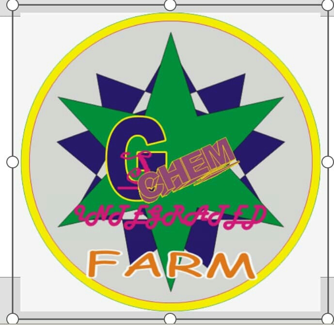 GSTAN CHEM INTEGRATED FARM NIGERIA ENTERPRISE logo